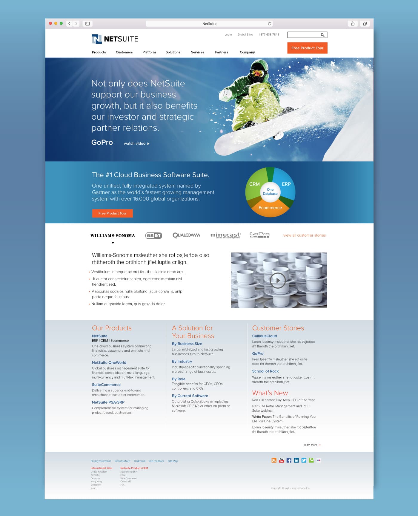 NetSuite Website